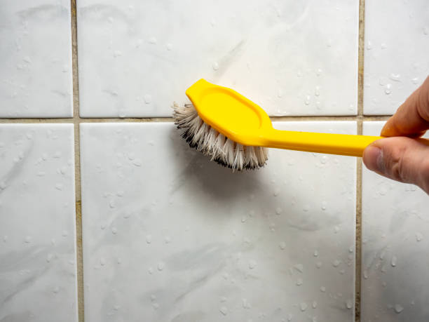 Best Industrial Mold Remediation in Hollywood, SC
